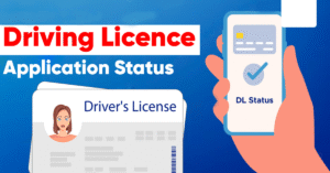 driving licence status